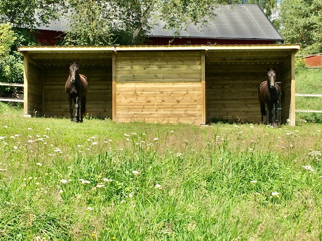 Confort 36 Väderskydd - Bild 12