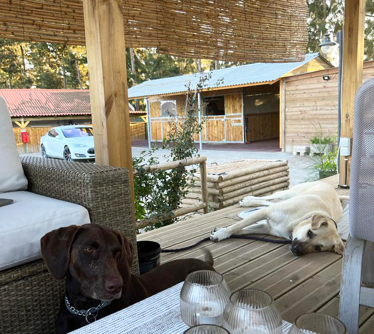 Charpente HARAS uteboxbyggnad - Bild 30