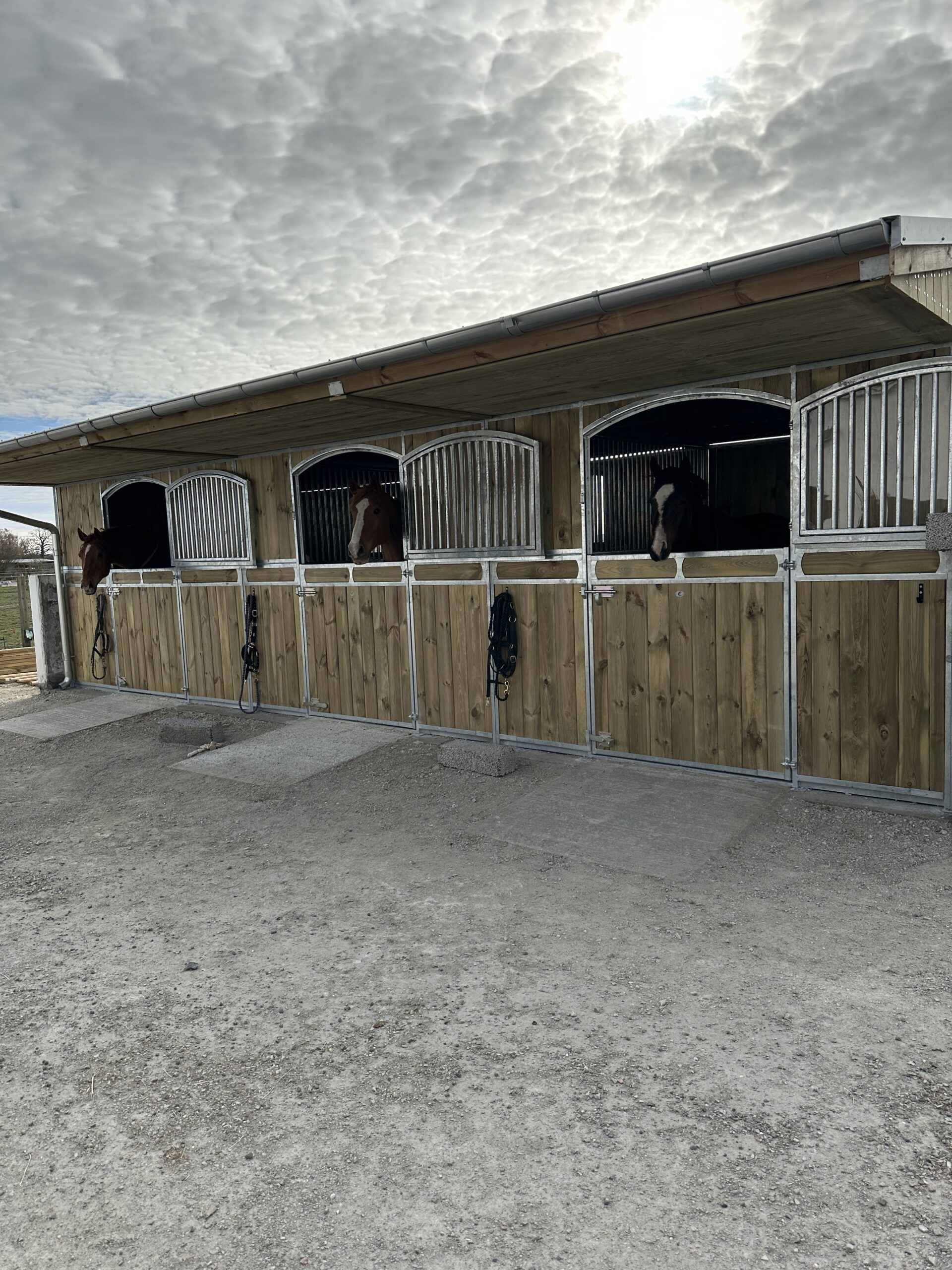 Charpente HARAS uteboxbyggnad - Bild 24