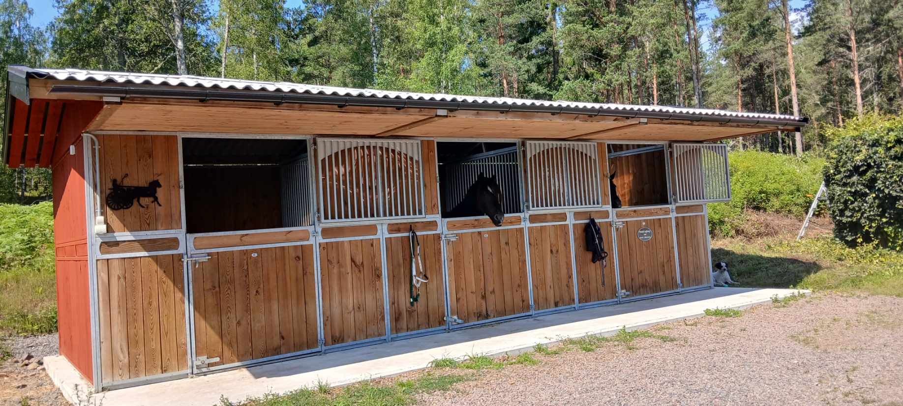Charpente HARAS uteboxbyggnad - Bild 28