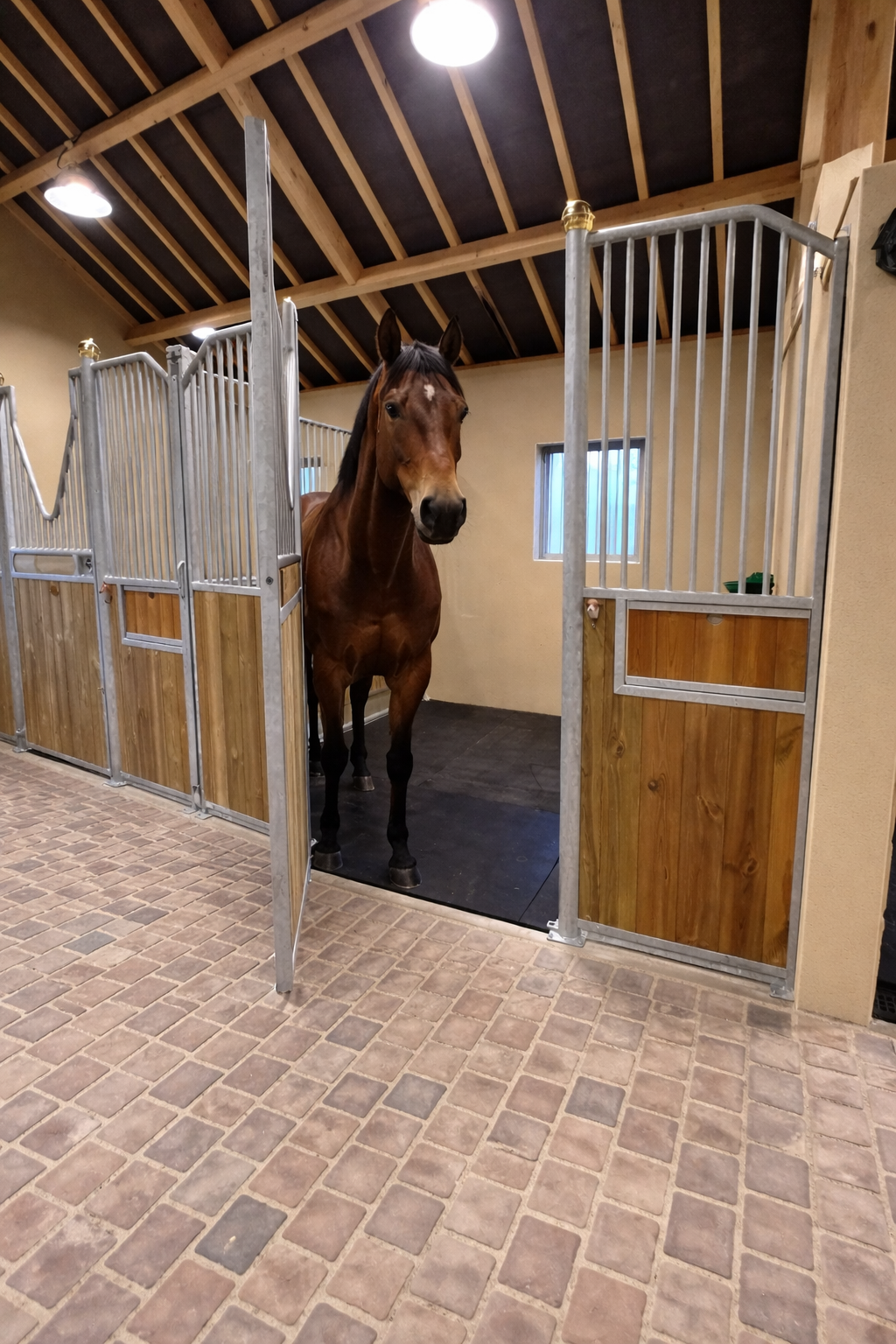 Boxfront Vega. - Bild 2